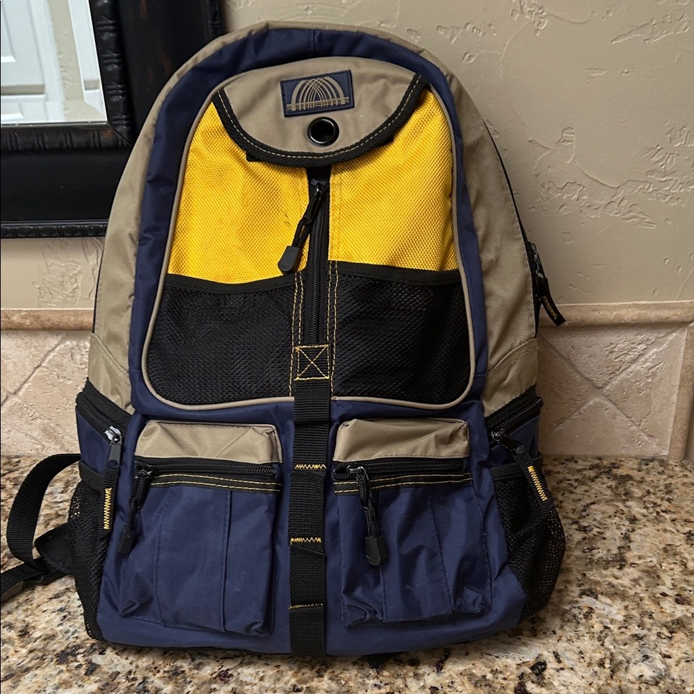 Stylish Multi-Color Backpack for Men